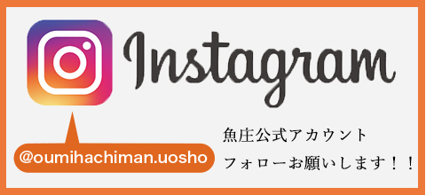 魚庄公式instagramアカウントはこちら